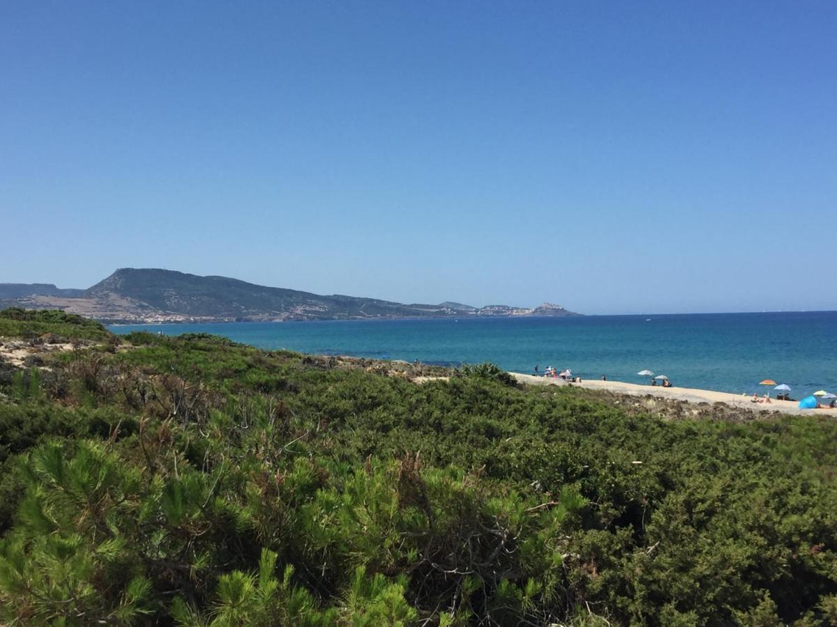 ViddalbaCarrabean Sea In The North Of Sardegna, With Swimming Pool别墅 外观 照片