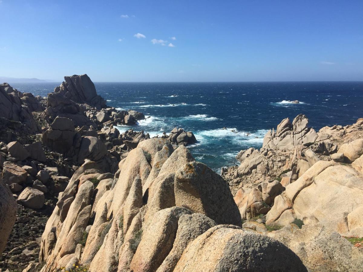 ViddalbaCarrabean Sea In The North Of Sardegna, With Swimming Pool别墅 外观 照片