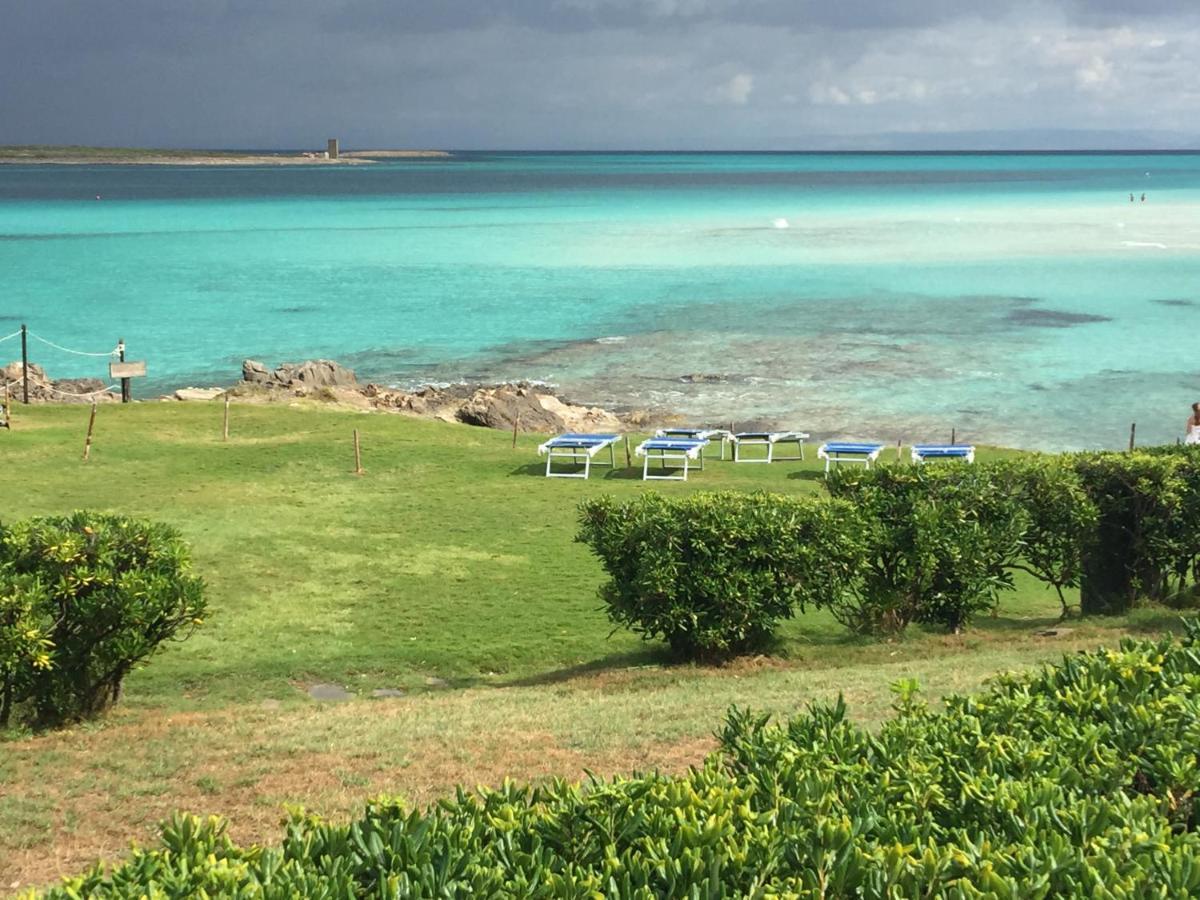 ViddalbaCarrabean Sea In The North Of Sardegna, With Swimming Pool别墅 外观 照片