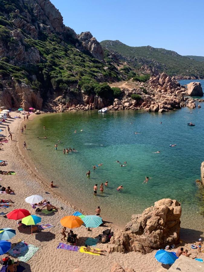 ViddalbaCarrabean Sea In The North Of Sardegna, With Swimming Pool别墅 外观 照片